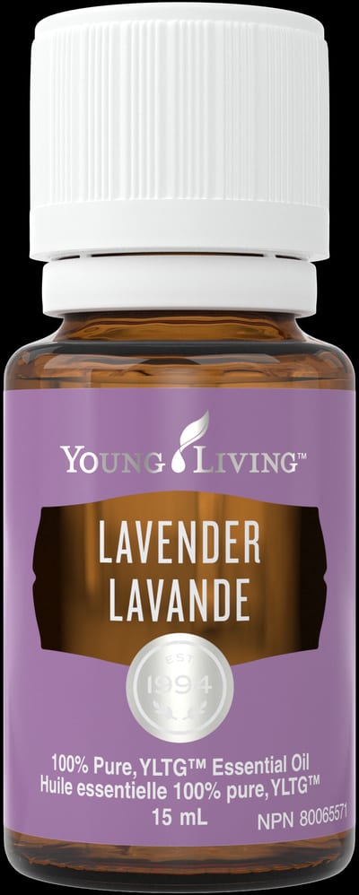 Lavendel