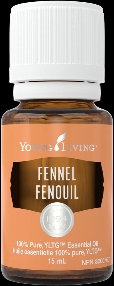 Fenchel