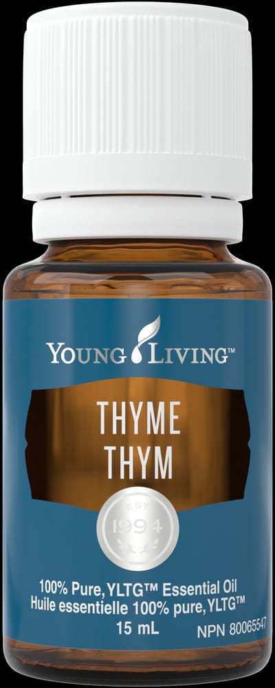Thymian