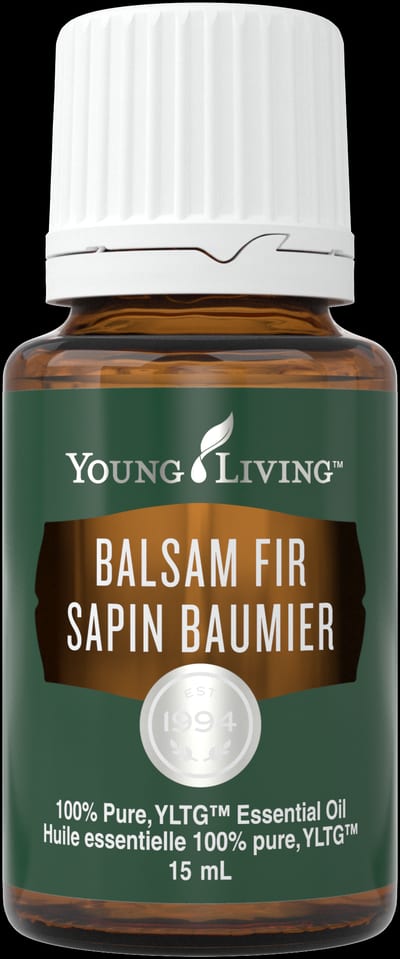 Balsam-Tanne