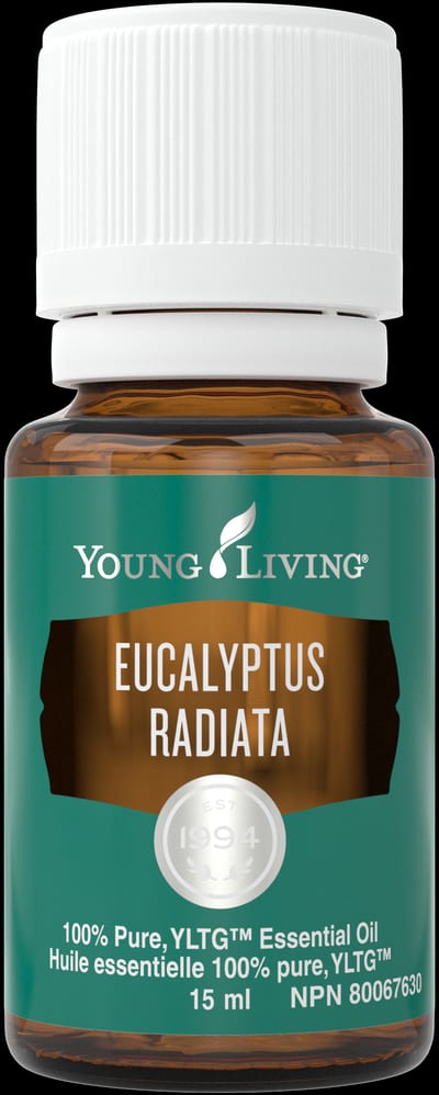 Schmalblättriger Eukalyptus