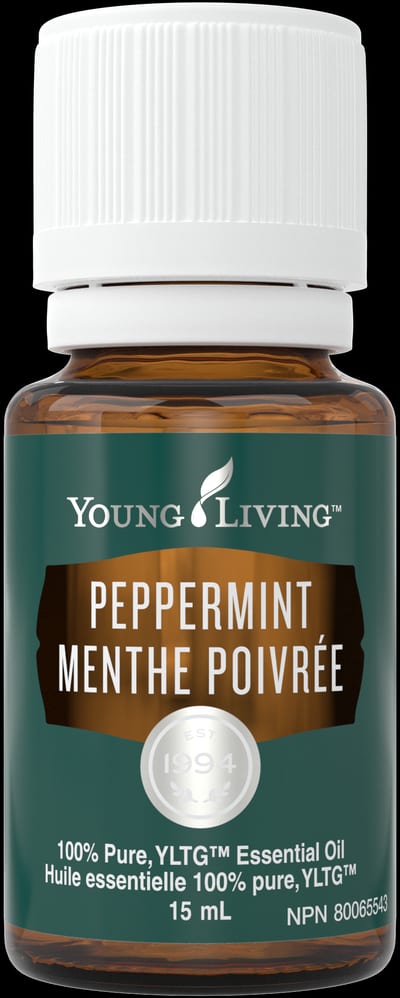 Pfefferminze
