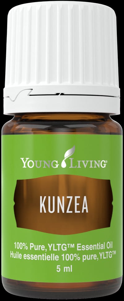 Kunzea