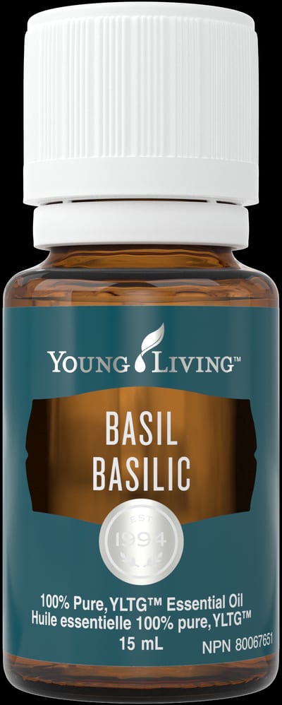 Basilikum