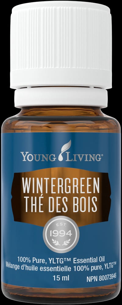 Wintergrün