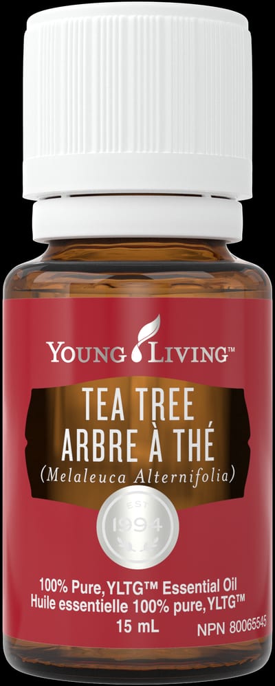 Teebaum